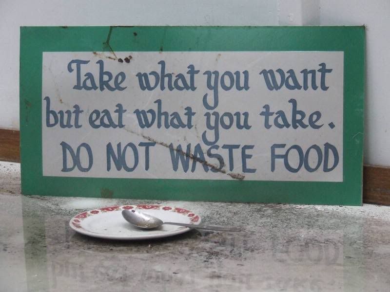 Essay on do not waste food